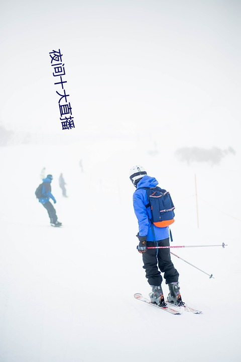 夜间十大ֱ 正题