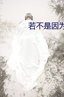 若不是因为爱着你 （急公好义）