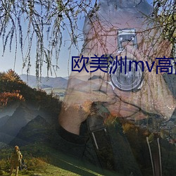 欧(ōu)美洲mv高清砖码区