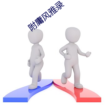 附庸风雅录