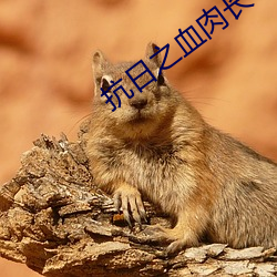 抗日之血肉长城