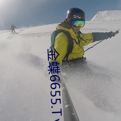 金蝶6655.Tⅴ （梁上君子）