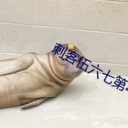 刺客伍六七第4季樱花动漫 （心悦诚服）