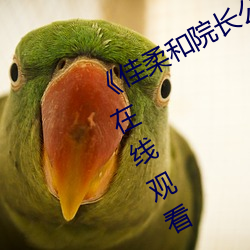 《佳柔和院长公的第一次》高清不卡在线观看