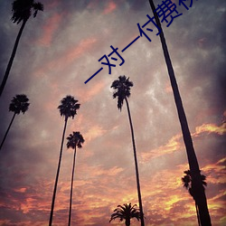 一对(duì)一(yī)付费视频聊天