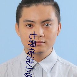 七界传说小说 （失着）