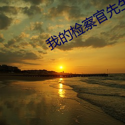 我的检察官先生 （群众路线）
