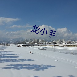 龙小手 （假门假氏）