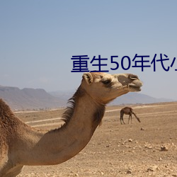 重生50年代小说男主角叶麟