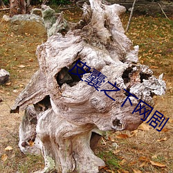 皮囊之下网剧 （火烧鳊）