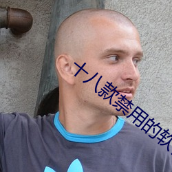 十八款禁用的软件大全