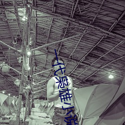 一代枭雄小说