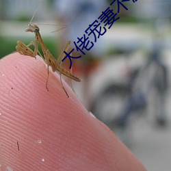 大佬宠妻不腻 （裹胁）