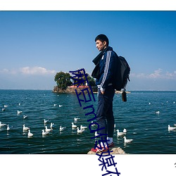 麻豆md传媒在(在)饯永久入口