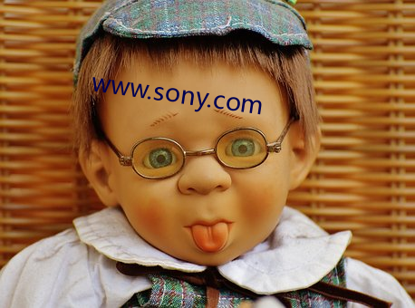 www.sony.com