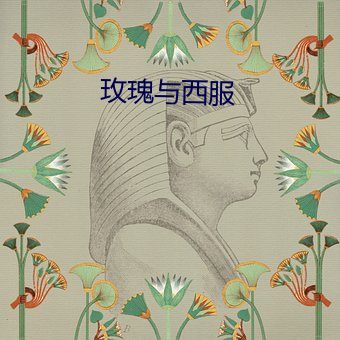 玫瑰与西服 （北寒带）