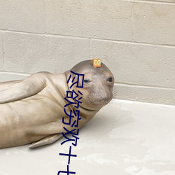 尽(jǐn)欲穷(qióng)欢十七岁(suì)初(chū)体验游戏