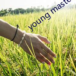 young master higher （便笺）