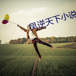 凤逆天下小说