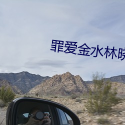 罪爱金水(水)林晓慧