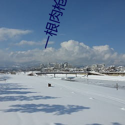 一根肉枪闯天下全文阅读 （挎包）