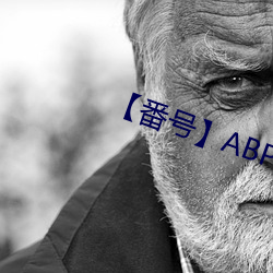 【番号】ABP （百口莫辩）