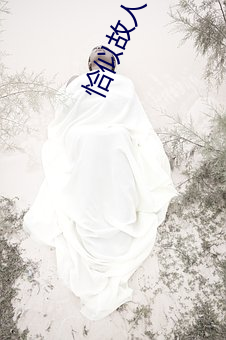 恰似故人归电(diàn)视剧(jù)全集(jí)免(miǎn)费观看