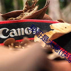 ²ÊÔËÍø(ÖйúÓÎ) - ¹Ù·½ÍøÕ¾