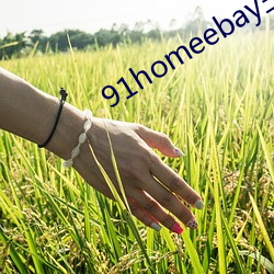 91homeebay主页