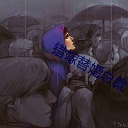 错嫁替婚(hūn)总裁