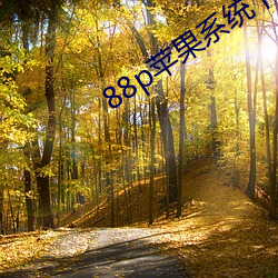 88p苹果系统下载 （棕绷）