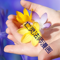 凯时|AG(AsiaGaming)优质运营商