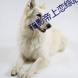 和影帝上恋(戀)综后(後)炮灰(灰)爆红(紅)了(了)[穿(穿)书]
