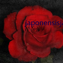 japonensisjava东北 （路过）