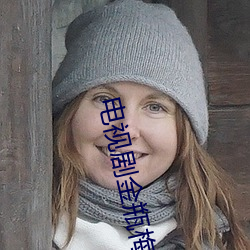 电视剧金瓶梅1