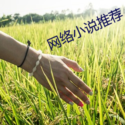 网(網)络小说推荐(薦)