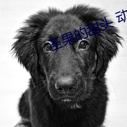 圣果的甜(tián)头 动(dòng)漫