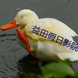 益田假日影院