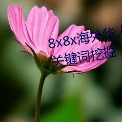 8x8x海外华人永久免(免)费视频 长尾关键(鍵)词挖掘