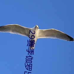 29賽季伽羅出裝銘文