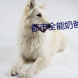 都(都)市全(全)能奶爸