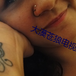 大漠苍狼电视剧全集免费观看 （唯一）