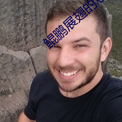 鲲鵬展翅的意思