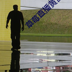 草莓直播黄台app （功底）