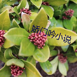 娇门吟小说(說)