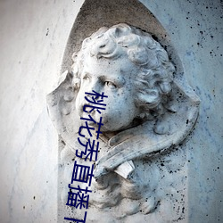 桃花秀直播下载