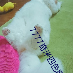 7777奇米四(四)色眼影(影)再次登上(上)热门