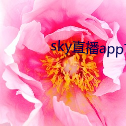 sky直播app下载大全