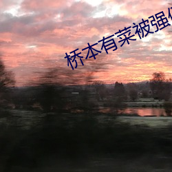 桥(橋)本(本)有菜(菜)被强(強)侵