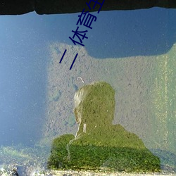 二(二) 体育(育)生突然(然)发现被人强C/骑乘反抗(抗)/主动(動)合J (1 / 5)